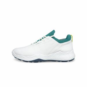 ECCO M Golf Biom H5 White