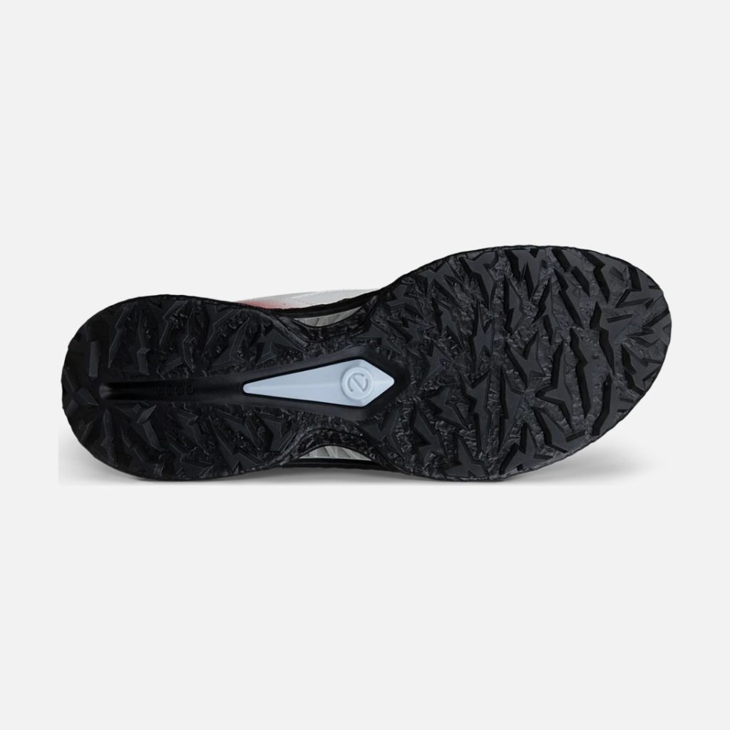Giày Golf ECCO M Golf BIOM C5 BOA – Nam
