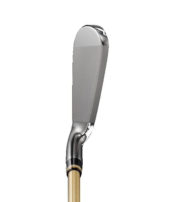 Majesty ROYAL Iron – Nam